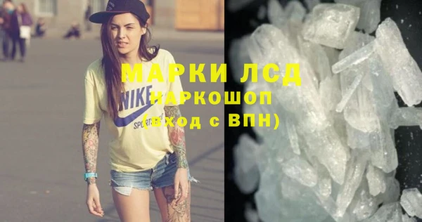 apvp Гусев