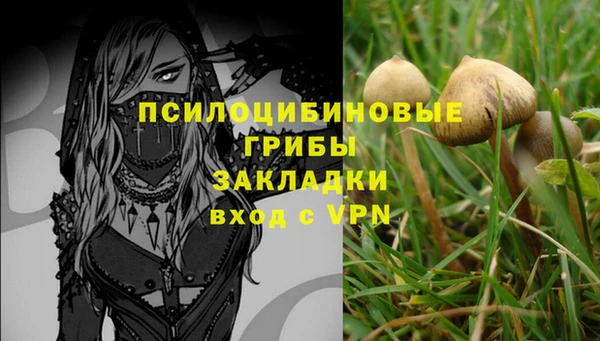 apvp Гусев
