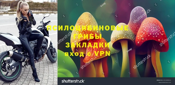 гашик Гусиноозёрск