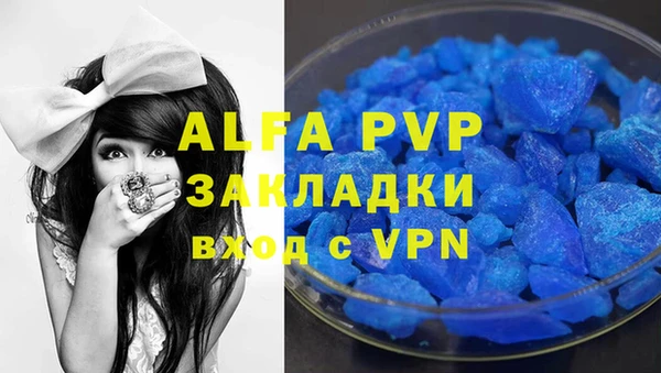 apvp Гусев